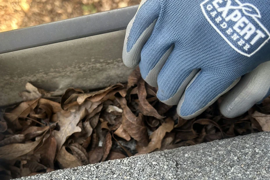 Gutter Cleaning McLean