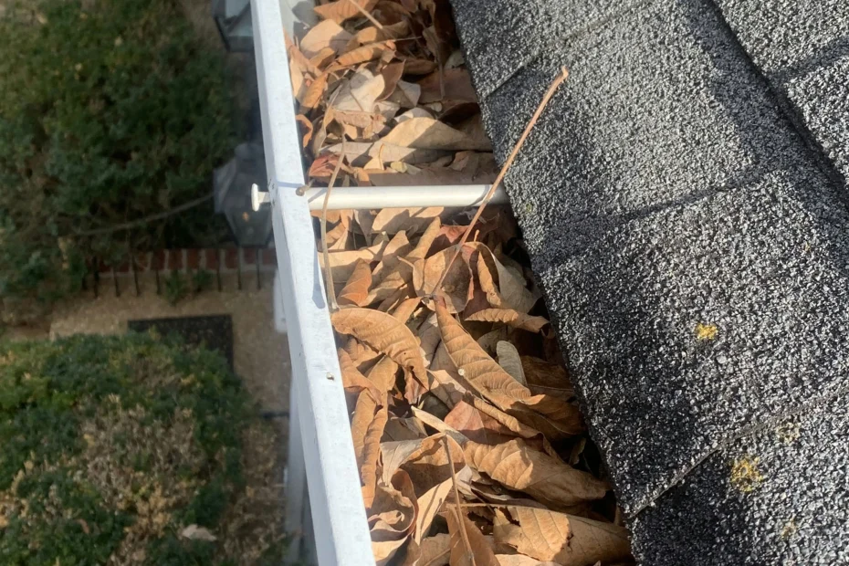 Gutter Cleaning McLean