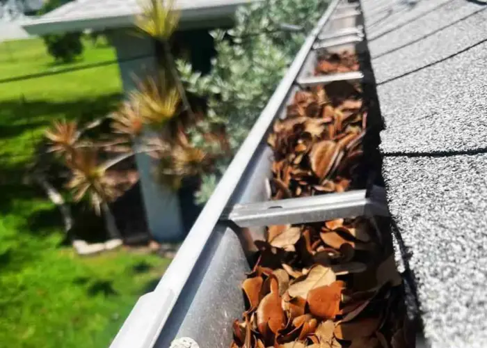 Gutter Cleaning McLean home page